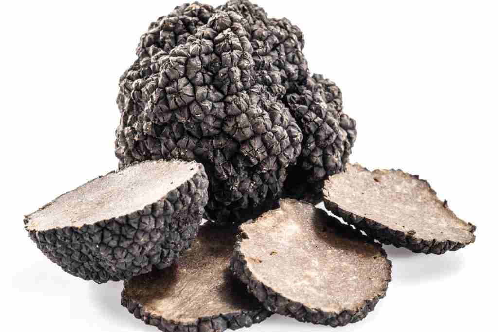 giant truffle things you don't know about italy