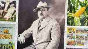 amedeo obici mr peanuts lcn firm blog