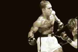 rocky marciano lcn firm blog