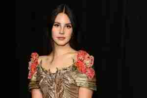 lana del rey lcn firm blog