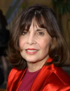 talia shire lcn firm blog
